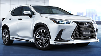 Lexus NX Modellista