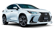 Lexus NX Modellista